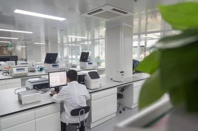 通风柜和排风系统分别扮演什么角色